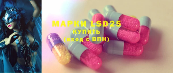 дмт Магас