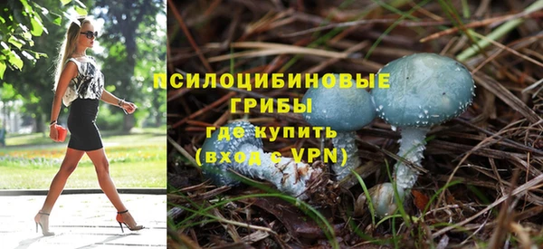 мяу мяу мука Арсеньев