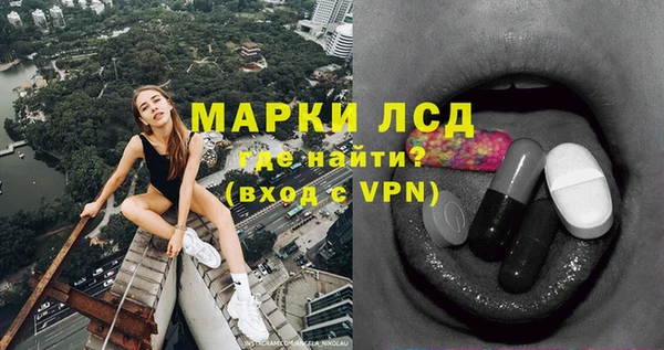 spice Аркадак